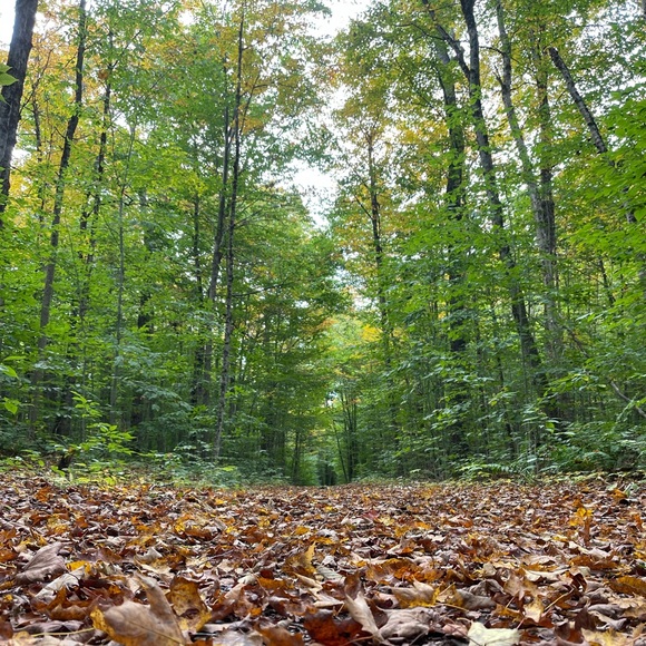 Meet your Posher, Claire - Picture 2 of 16